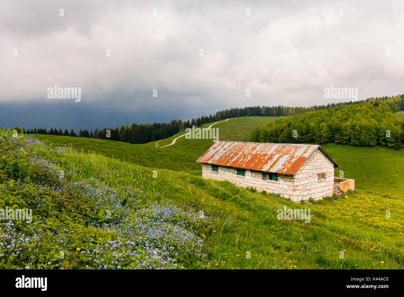 Altopiano di Asiago, provincia di Vicenza, Veneto, Italia. Pietra capanna di pastori nelle colline. Foto Stock