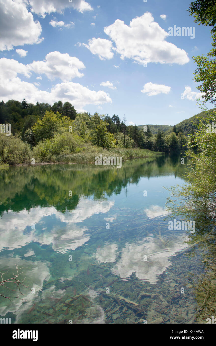 Il parco nazionale di Plitvice, Plitvicka Jezera laghi, Croazia, vista lungo il percorso con le nuvole riflettono. Foto Stock