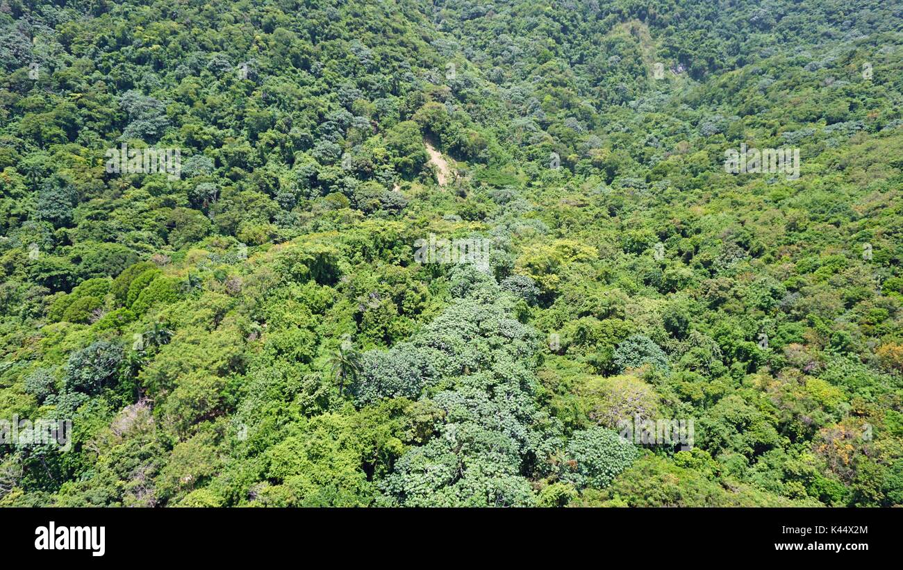 Incredibile giro in funivia sul pica isabel del torres in Puerto plata Foto Stock