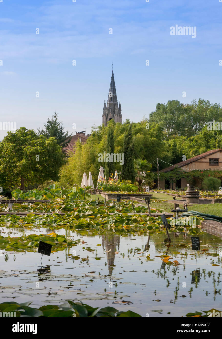 Giardini d'acqua di Latour-Marliac famosa per la coltivazione di ninfee Foto Stock