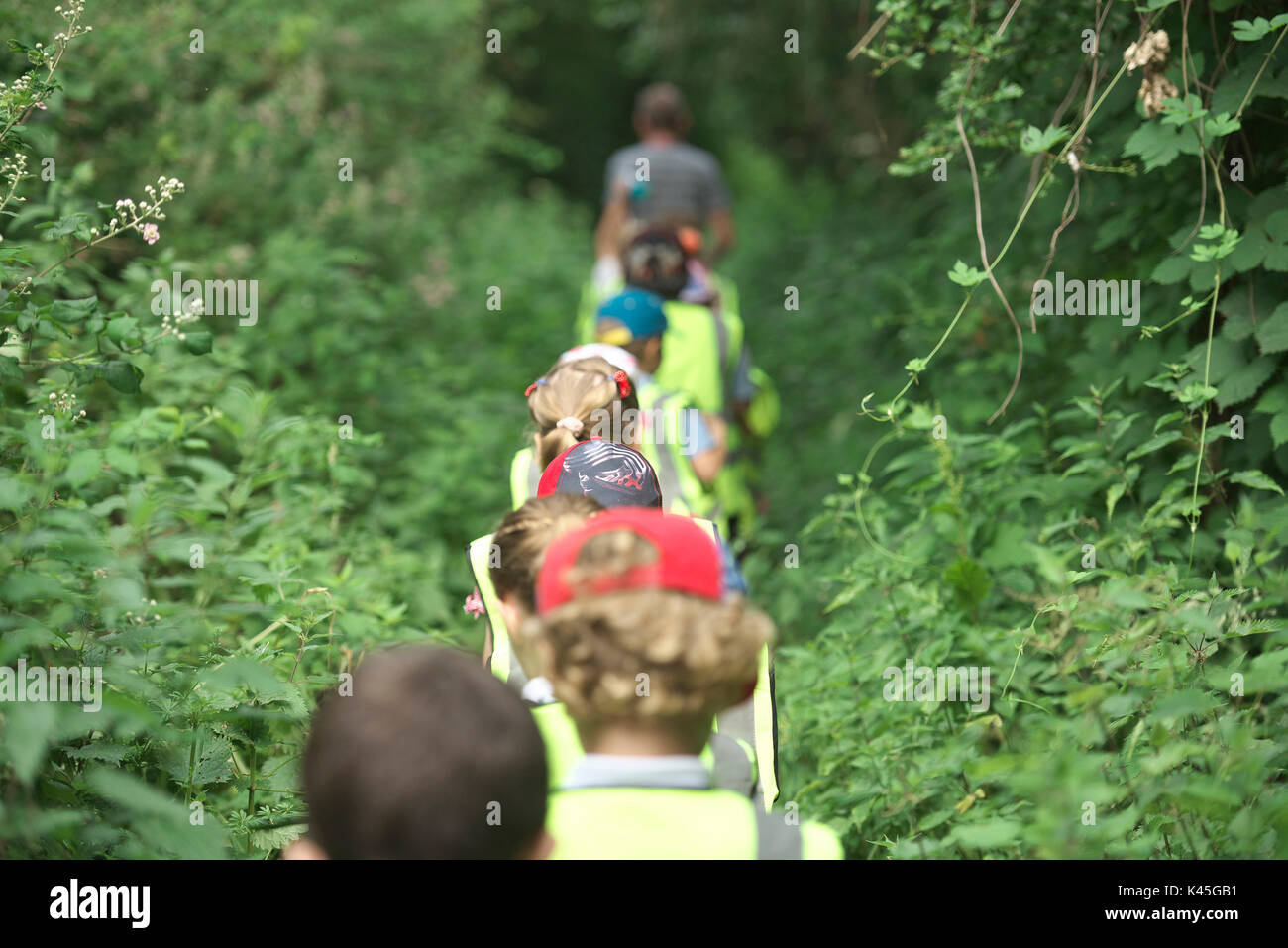 Gruppo di giovani a scuola i bambini vanno a scuola a piedi attraverso i boschi e le campagne. Imparare a conoscere l'ambiente e tenetevi in forma Foto Stock