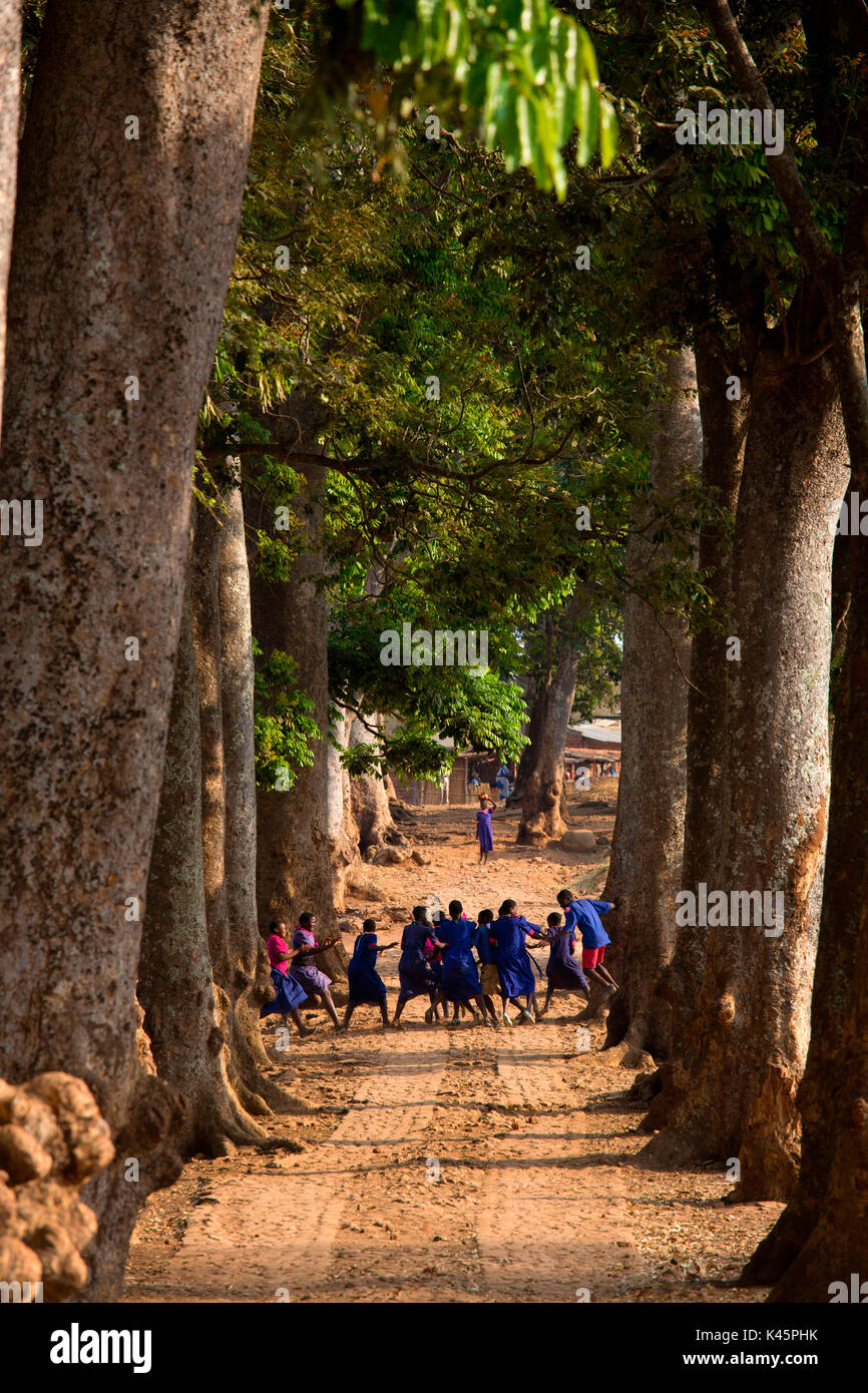 Africa,Malawi,Lilongwe distretto. Scorcio di un villaggio del Malawi Foto Stock