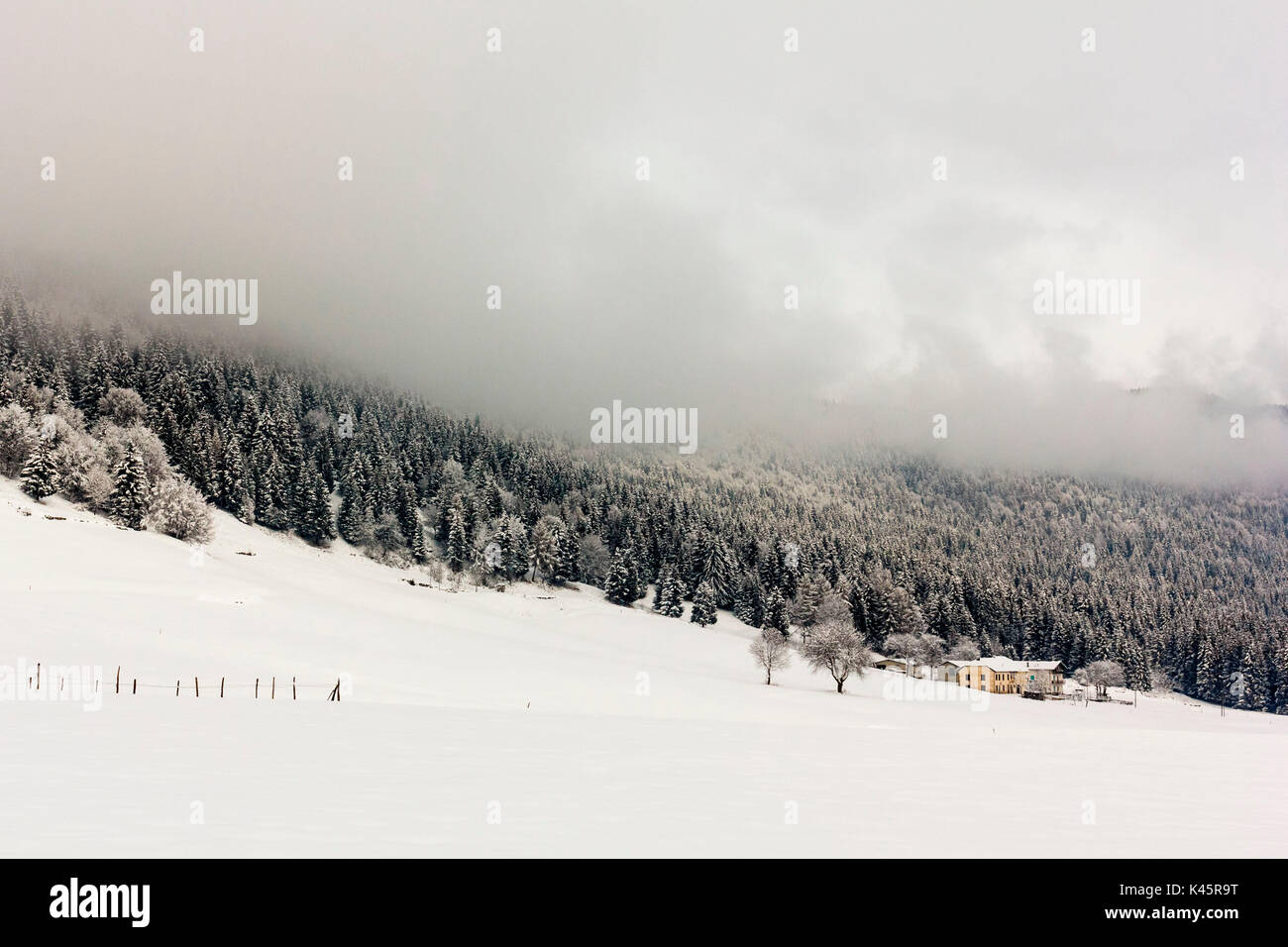 Altopiano di Asiago, provincia di Vicenza, Veneto, Italia. Cluster di casolari nella neve. Foto Stock