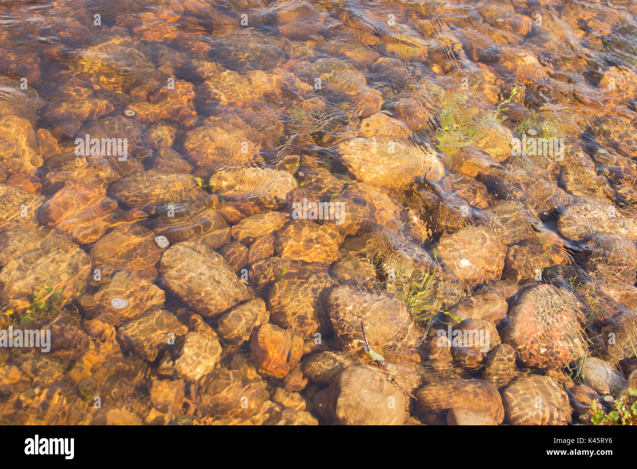 Chiara e acqua pulita nel fiume Tana, Utsjoki, Lapponia Foto Stock