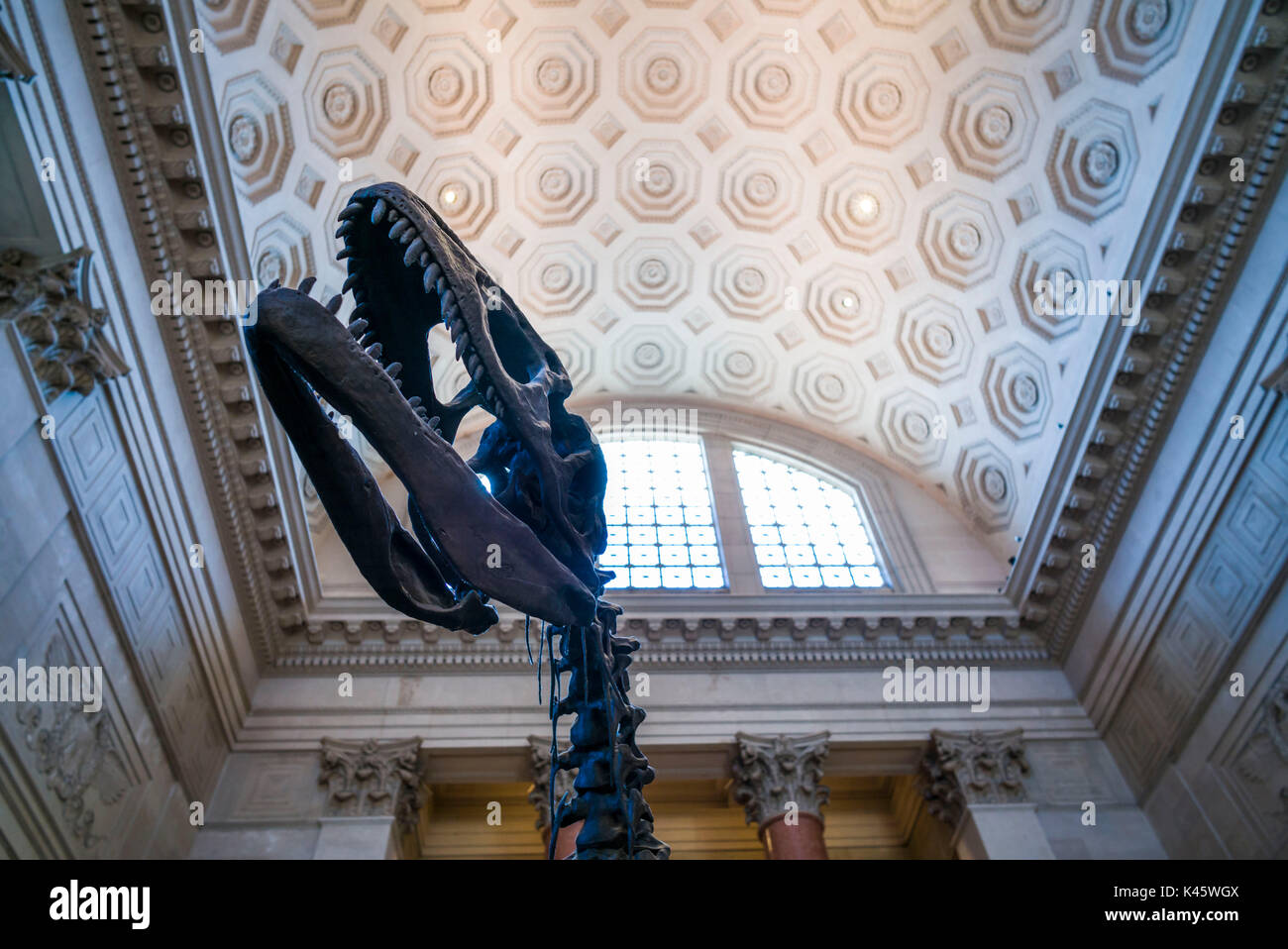 Stati Uniti d'America, New York New York City, Upper West Side, Museo di Storia naturale, lobby con dinosauro Foto Stock