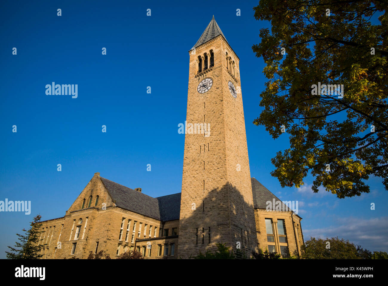 Stati Uniti d'America, New York, Regione dei Laghi Finger, Itaca, Cornell University, McGraw Tower Foto Stock