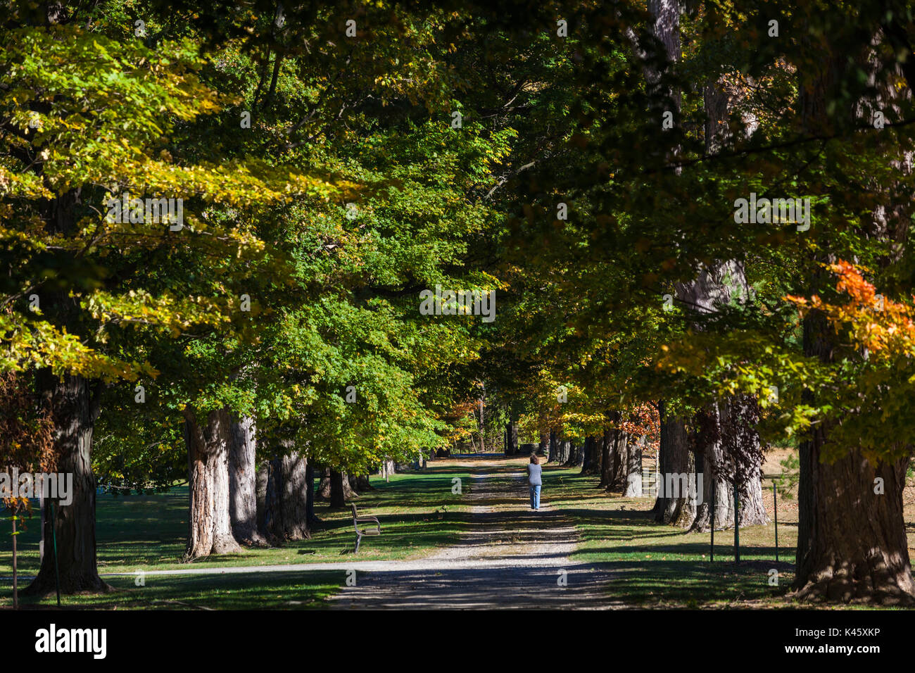 Stati Uniti d'America, New York, Hudson Valley, Hyde Park, FDR National Historic Site, ex casa del Presidente degli Stati Uniti Franklin D Roosevelt, motivi, autunno Foto Stock