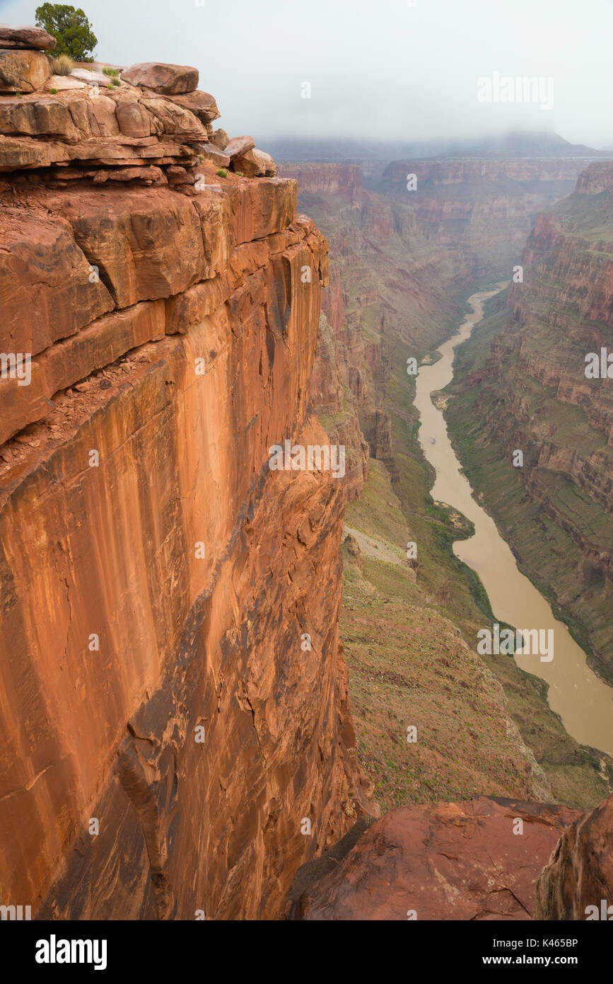 Fotografia del toroweap, si affacciano sul lato nord del fiume Colorado e il Grand Canyon National Park, Arizona, Stati Uniti. Foto Stock