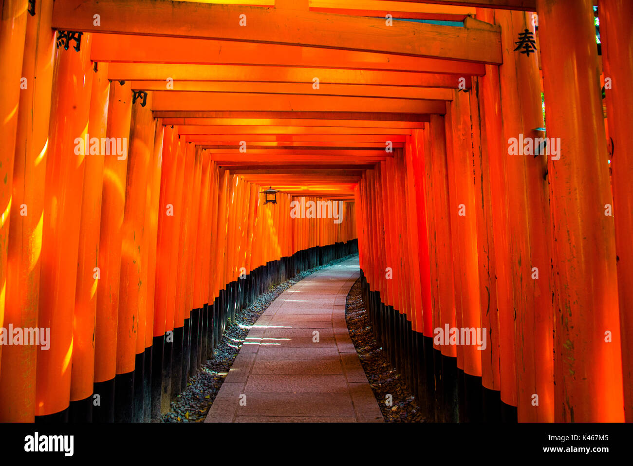 Fushimi Inari santuario giapponese di Kyoto Foto Stock