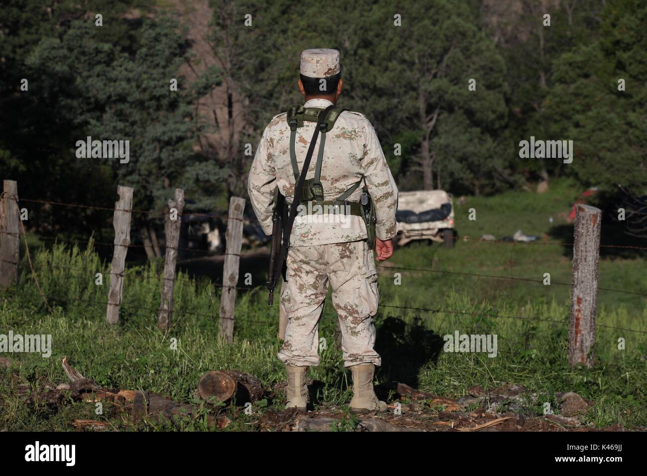 La manodopera de soldados de el ejercito mexicano en la sierra de Sonora Messico duranti la guerra contra los carteles de la droga . Militari sradicate e bruciato 16 tonnellate di cannabis trovata nel Rancho San Jose vicino alla città di Sonora Mex Huachineras. onu soldado de el ejercito mexicano vigila platio onu de Mariguana encontrado en la sierra de Sonora Messico... radio operador informa al cuartel militar el inicio de la operacio de destruccion de la droga... onu militar observa duranti la noche como arden 16 toneladas de Mariguana que fueron destruidas ... duranti la noche 16 toneladas de Mariguan Foto Stock