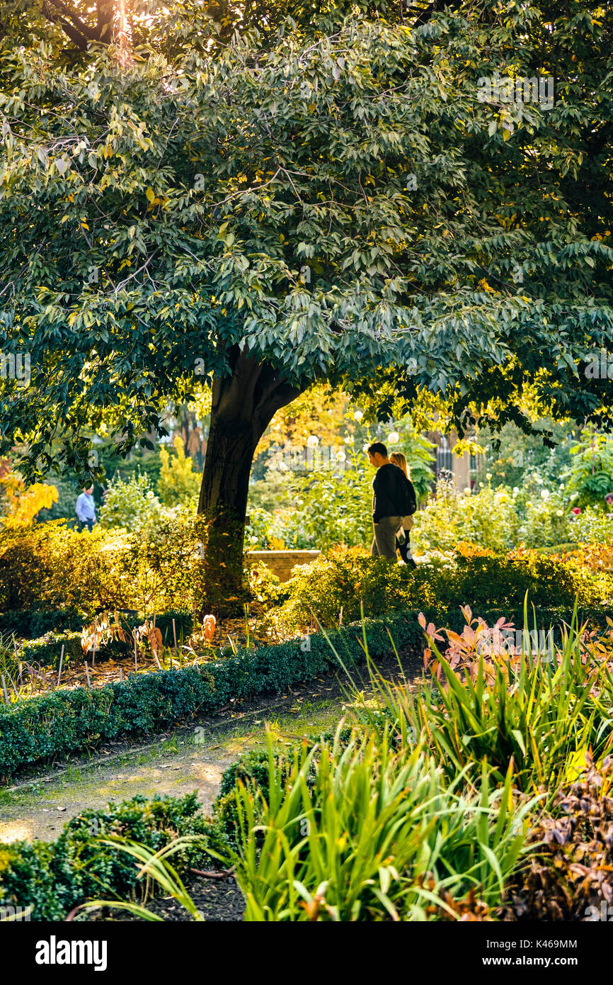 Autunno a Royal Botanical Garden. Madrid. Spagna. Foto Stock