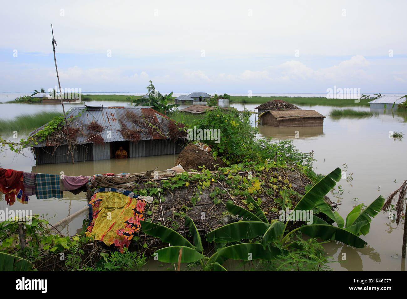 Case andare sotto acqua a un villaggio di Ulipur upazila in Kurigram come inondazioni grip nord pert del Bangladesh. Kurigram Bangladesh Foto Stock