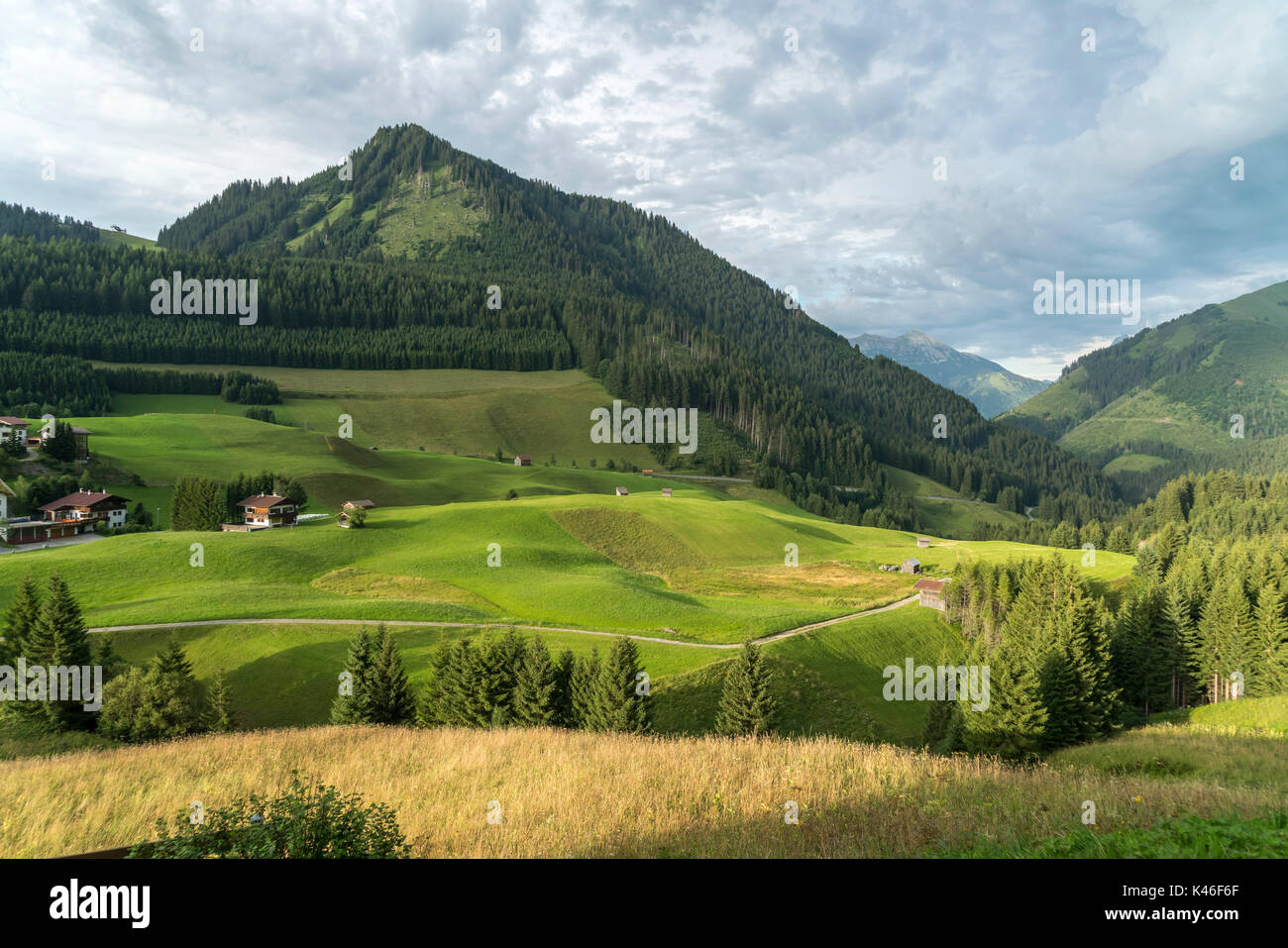 Landschaft bei Berwang, Reutte, Tirol, Österreich | paesaggio intorno a Berwang, Reutte, Tirolo, Austria Foto Stock