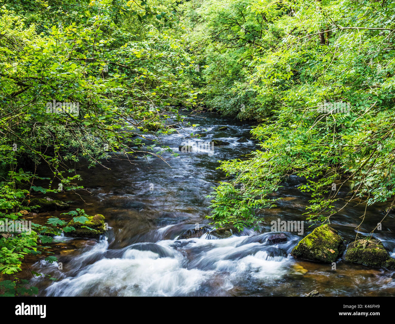 Il fiume Barle nel Parco Nazionale di Exmoor, Somerset. Foto Stock