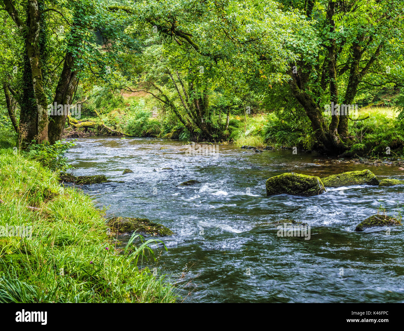 Il fiume Barle nel Parco Nazionale di Exmoor, Somerset. Foto Stock