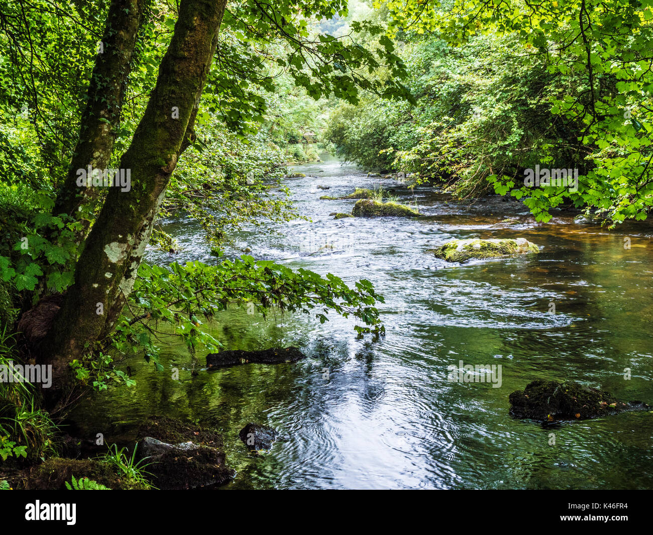 Il fiume Barle nel Parco Nazionale di Exmoor, Somerset. Foto Stock