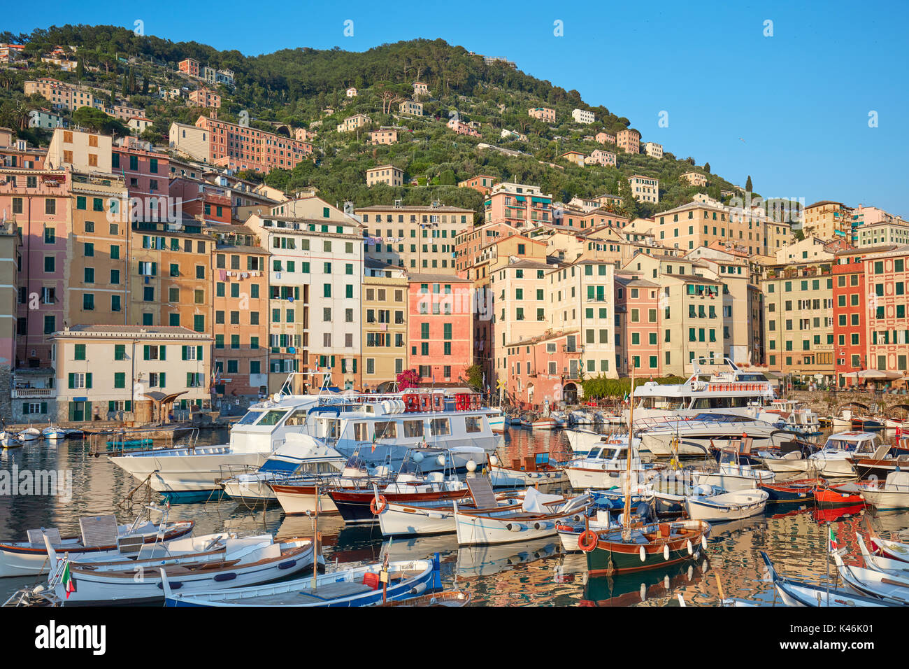 Camogli tipico villaggio con case colorate e piccolo porto in Italia, la Liguria in una giornata di sole Foto Stock