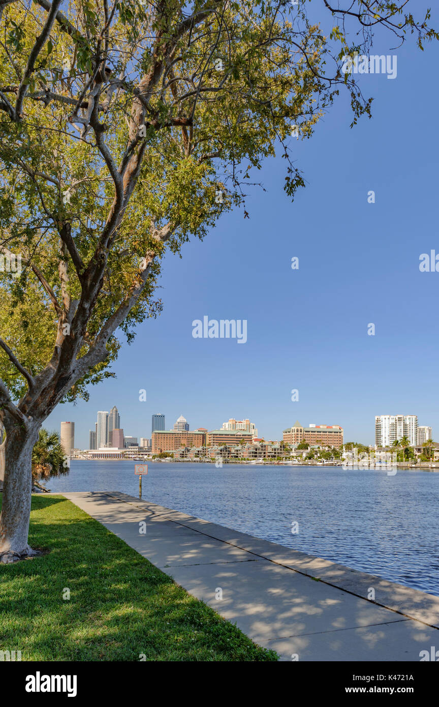 Tampa Florida usa skyline con Tampa Bay in primo piano. Foto Stock