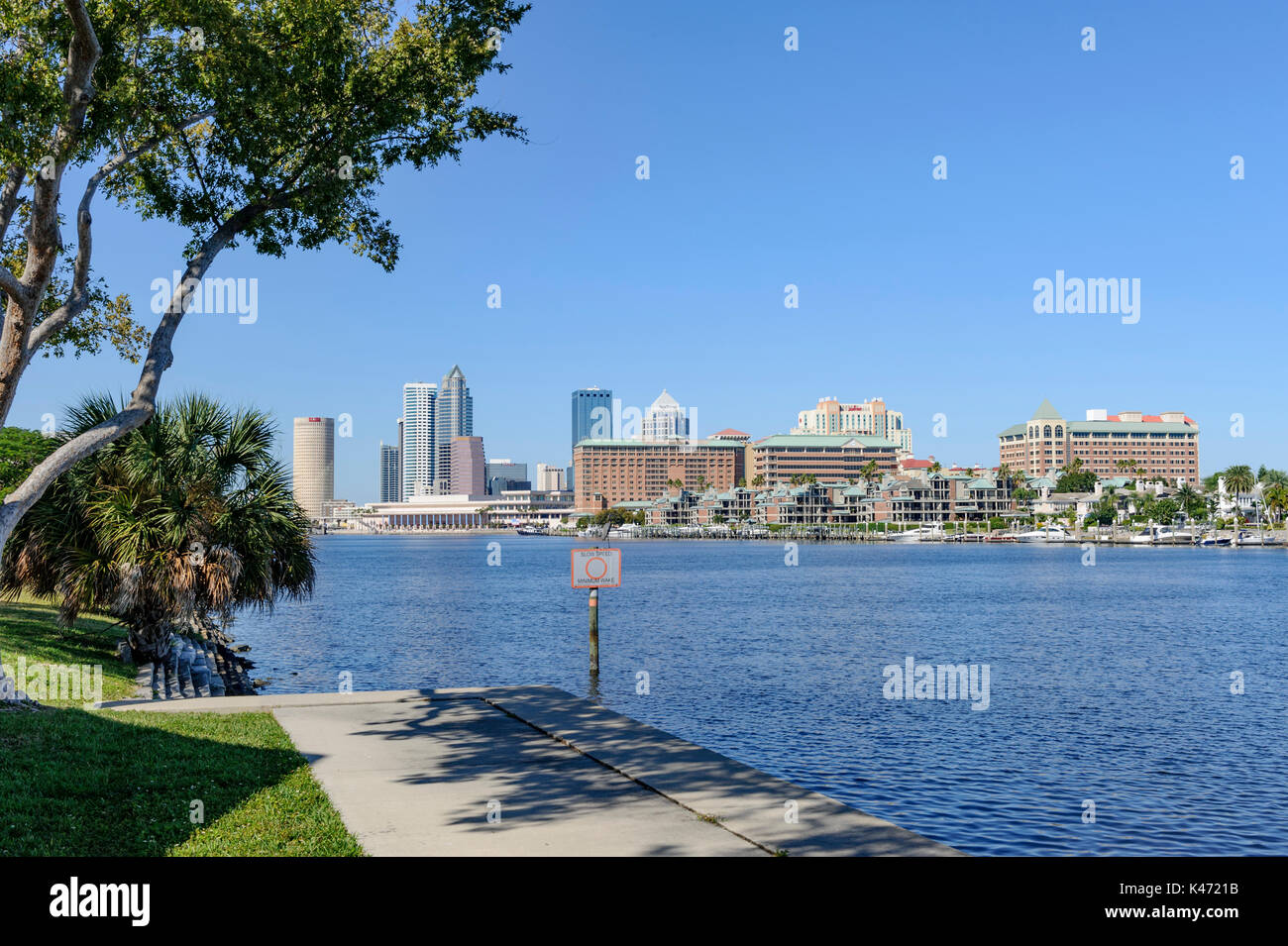 Città di Tampa Florida usa skyline con Tampa Bay in primo piano. Foto Stock