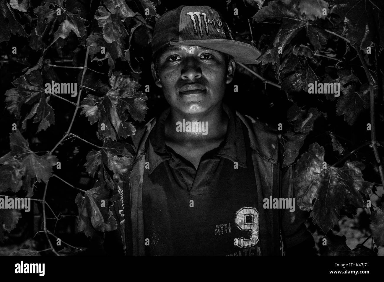 Ogni anno tra marzo e maggio centinaia di operai giorno da vari stati del Messico Viaggi di Sonora nel nord del paese , la maggior parte di essi la costa di Hermosillo concentrato per lavorare con diversi prodotti di fattoria e ulteriormente l'uva da tavola. Questo è un viaggio visivo sulla vita, volti e storie di lavoratori presso la Santa Ines II ( vigna ) e Santa Ines campo mi possedette società VidExport e natura il Partner ** © foto: LuisGutierrez / NortePhoto.com CADA AÑO entre los meses marzo a mayo cientos de Jornaleros de varios Estados de Mexico viajan una sonora en el norte del País, gran parte Foto Stock