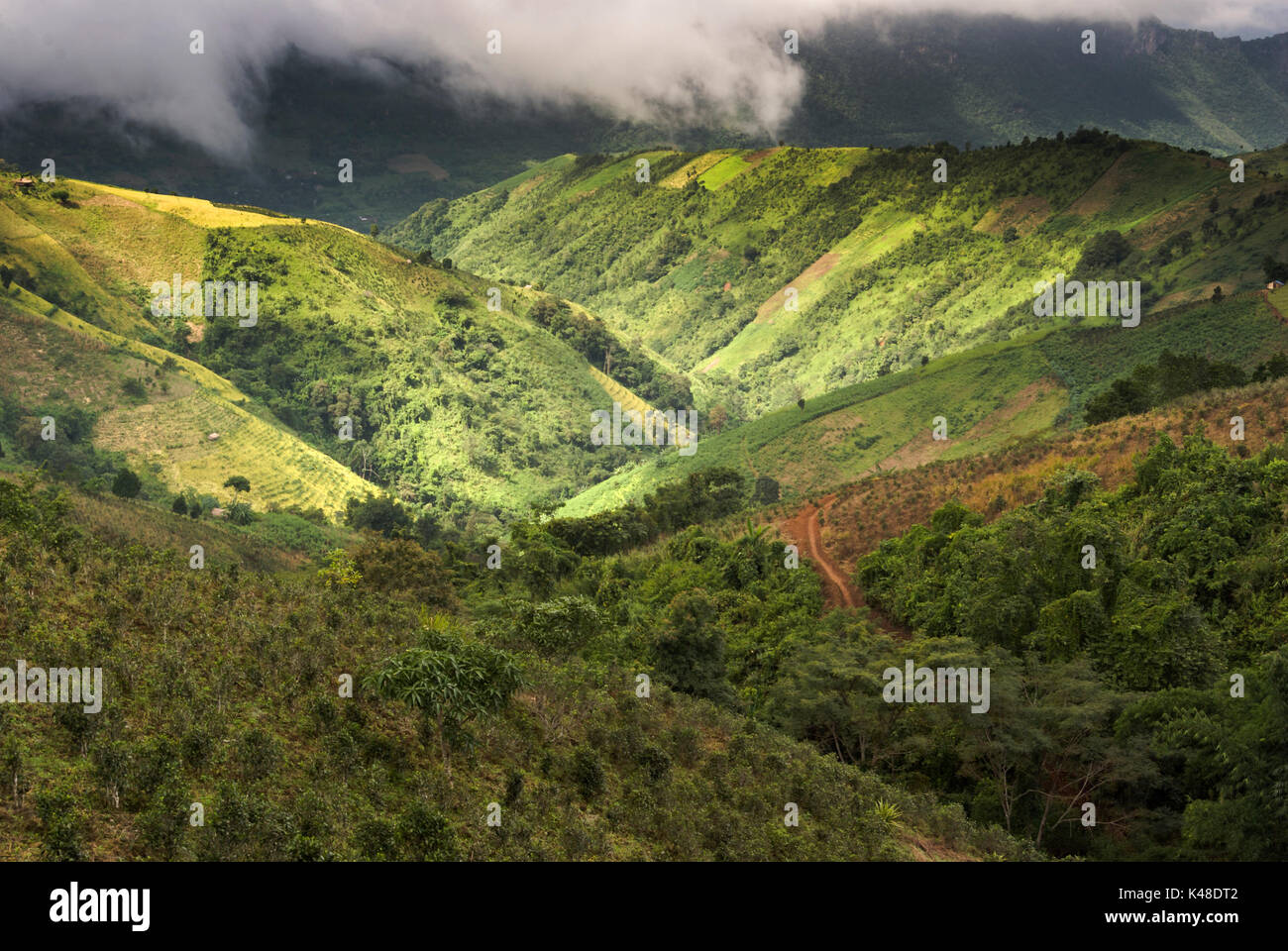 Paesaggio trekking da Kalaw al Lago Inle, Stato Shan, MYANMAR Birmania, sud-est asiatico Foto Stock