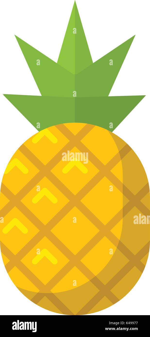 Ananas frutta piatto vettore isolato icon illustrazione Illustrazione Vettoriale