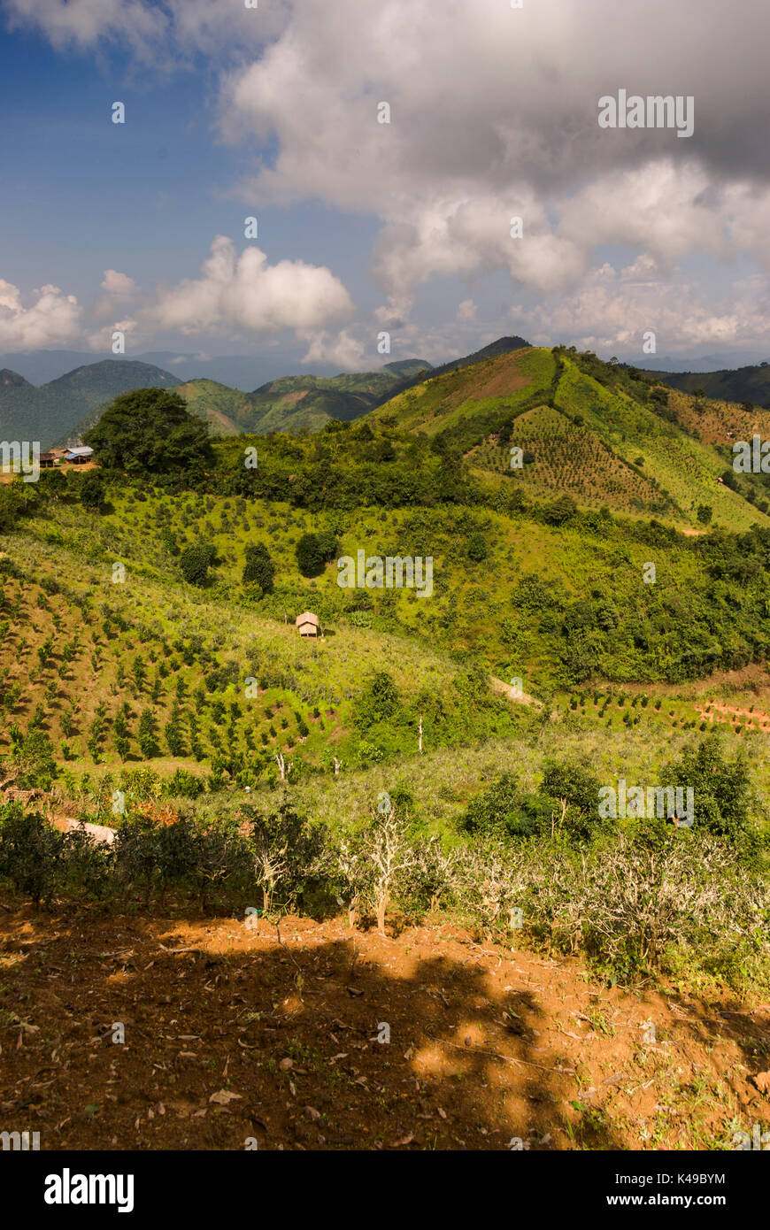 Paesaggio trekking da Kalaw al Lago Inle, Stato Shan, MYANMAR Birmania, sud-est asiatico Foto Stock