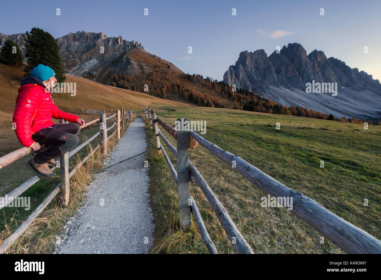 Hilker ammira il Gruppo delle Odle. Malga Gampen Val di Funes Alto Adige Dolomiti Italia Europa Foto Stock