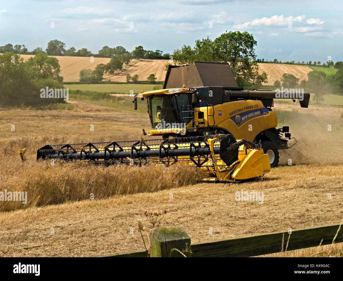 Moderno, giallo New Holland CR9090 Mietitrebbia la mietitura del frumento raccolto in leicestershire campo Foto Stock