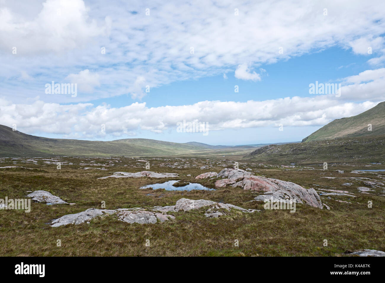 Upland bog habitat per allevamento, Greenshank Strath Dionard NW Sutherland Scozia Giugno Foto Stock
