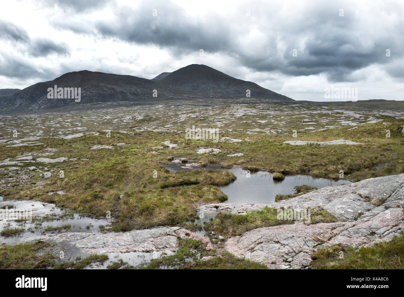 Upland bog habitat per allevamento, Greenshank Strath Dionard NW Sutherland Scozia Giugno Foto Stock