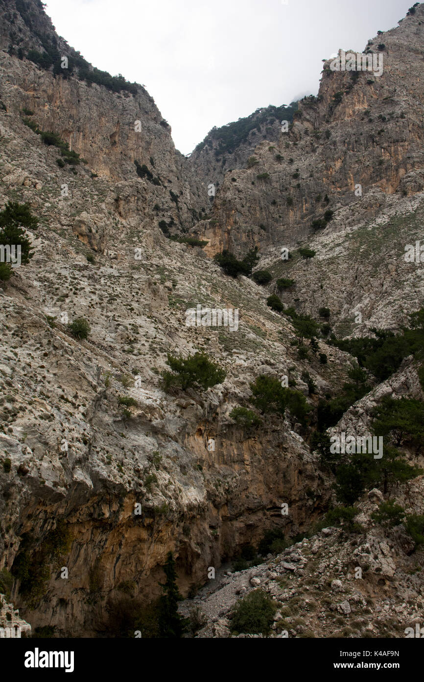 Rouvas Gorge è un profondo canyon di calcare in esecuzione dalla montagna Psiloritis verso la costa sud di Creta. Oggi è una popolare escursione. Foto Stock