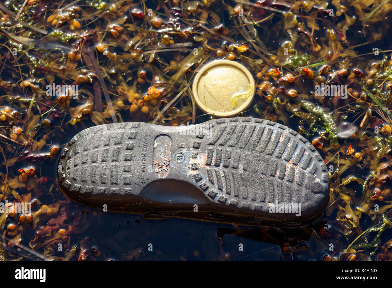 Karlskrona, Svezia - 28 agosto 2017: ambientale documentario di inquinamento del mare. Boot e coperchio gettati in mare con wrack della vescica. Foto Stock