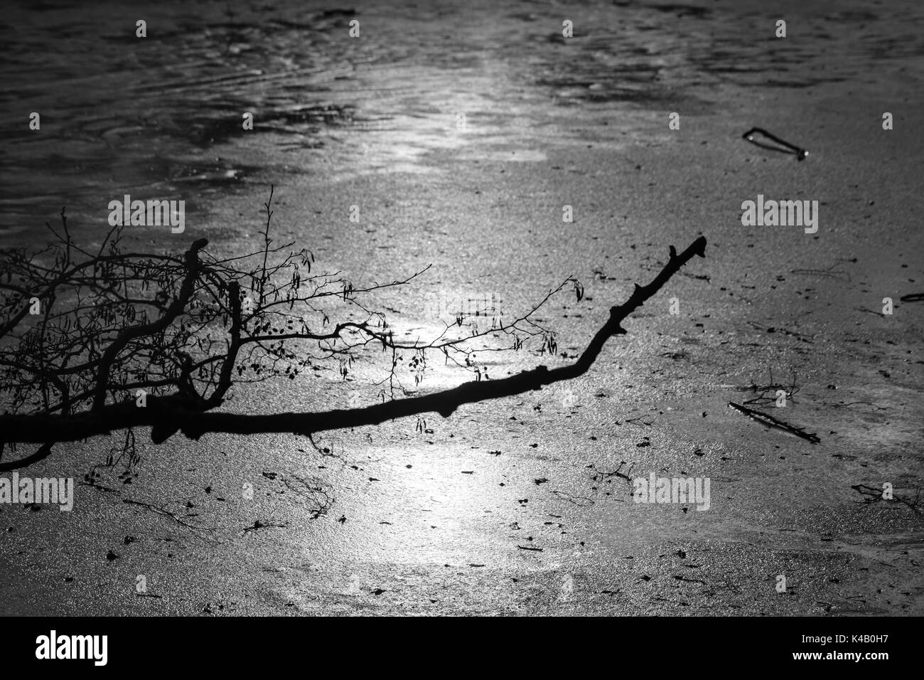 Il lago con il ghiaccio in inverno Foto Stock