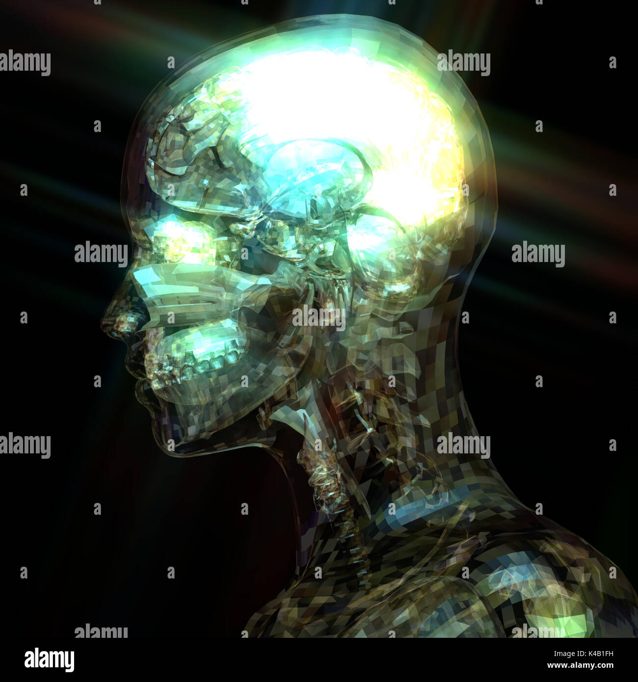 3D illustrazione di una anatomia umana Foto Stock