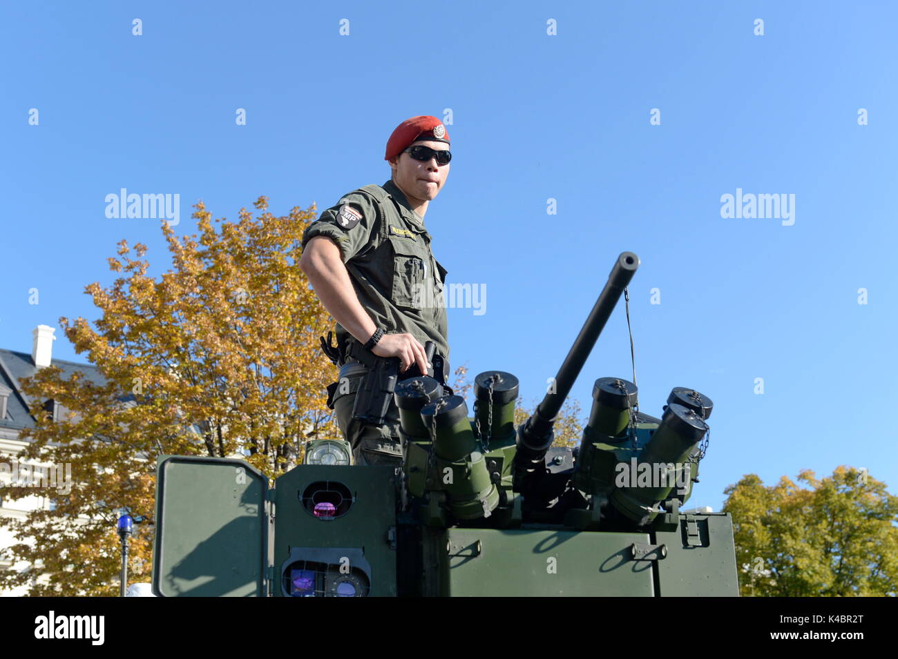 Nazionale austriaco del giorno 2016 Foto Stock