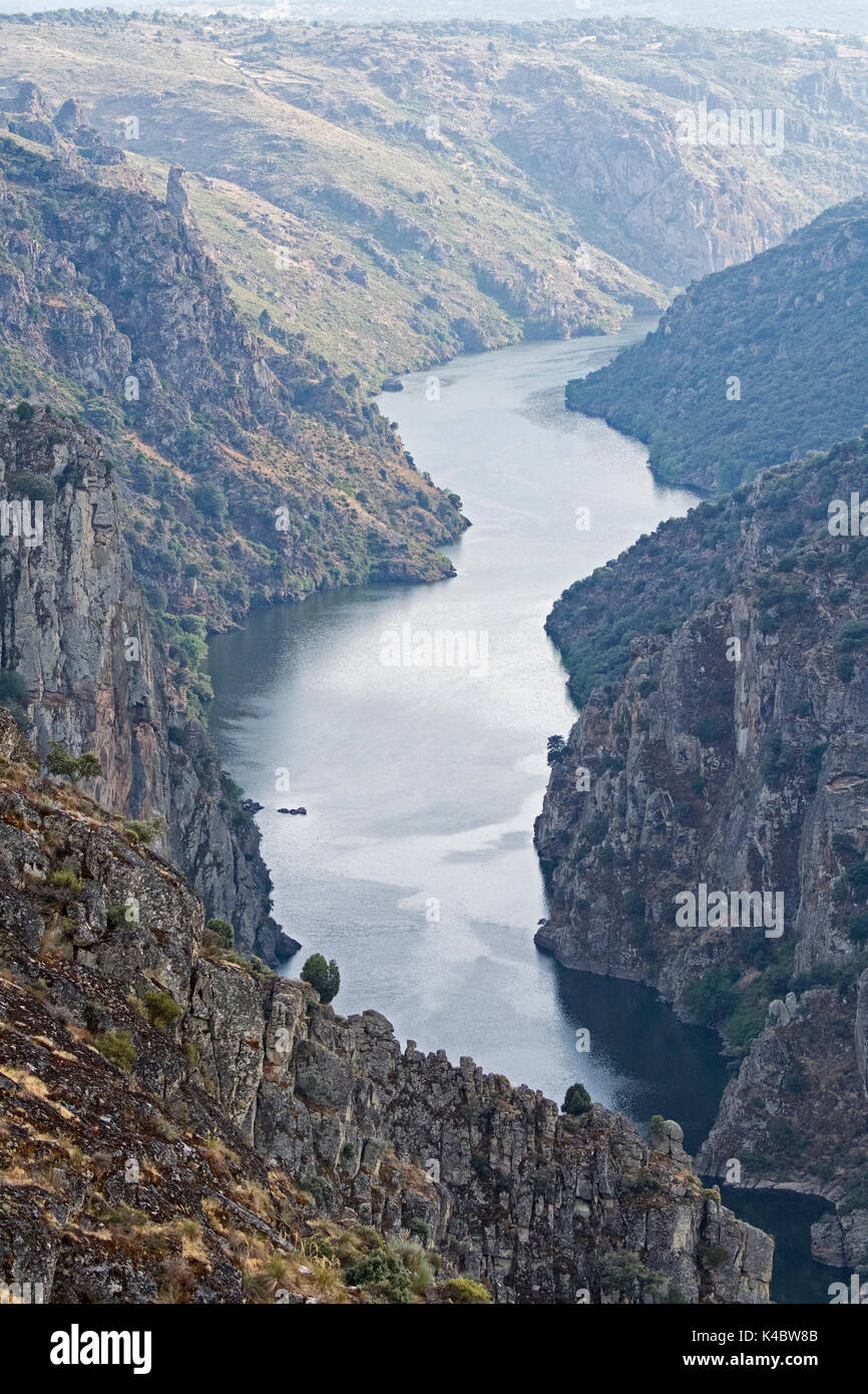 Rio Duero-Douro il confine tra Spagna e Portogallo vista da Virgen del Castillo viewpoint. Fariza, provincia di Zamora, Castilla y León, Spagna Foto Stock