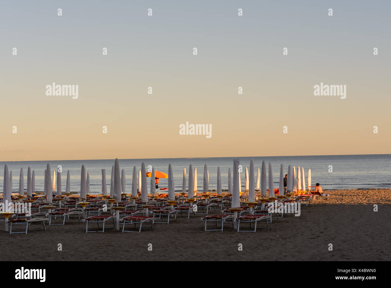 Ripiegato fornita di ombrelloni e lettini sulla spiaggia sabbiosa in Italia Foto Stock