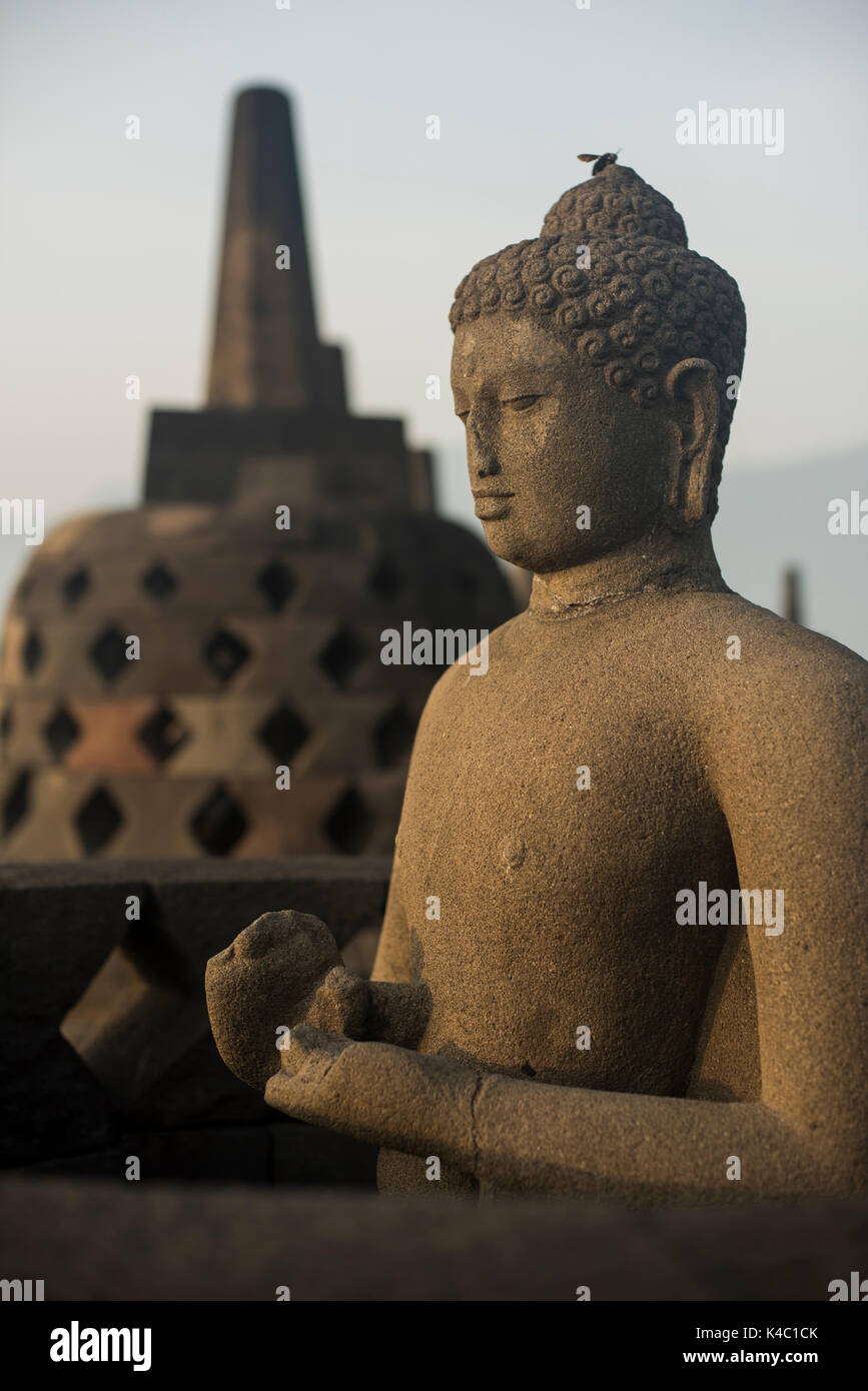 Statua del Buddha presso il tempio borobudor in java, Indonesia. Foto Stock
