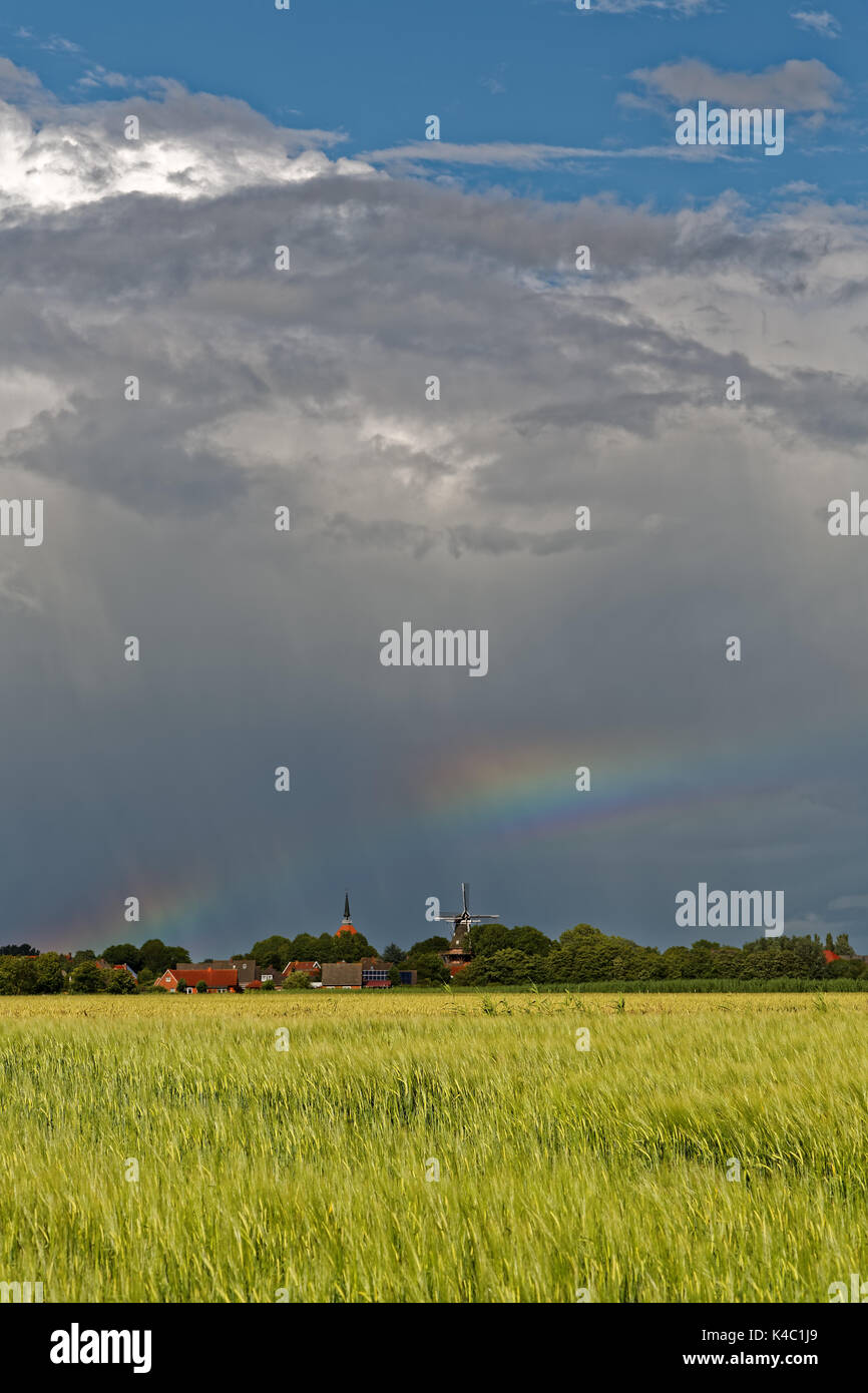 Pioggia nuvole su un biotopo in Frisia orientale, Germania Foto Stock