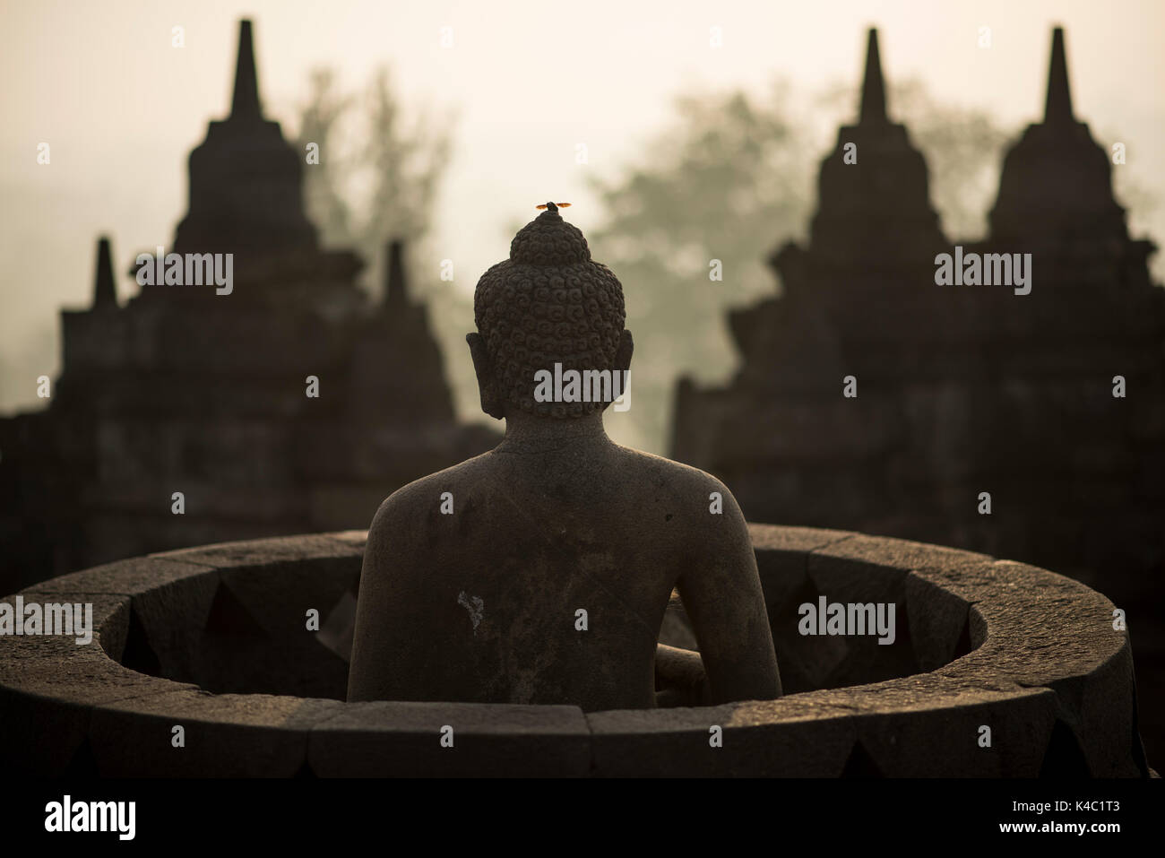 Statua del Buddha presso il tempio borobudor in java, Indonesia. Foto Stock