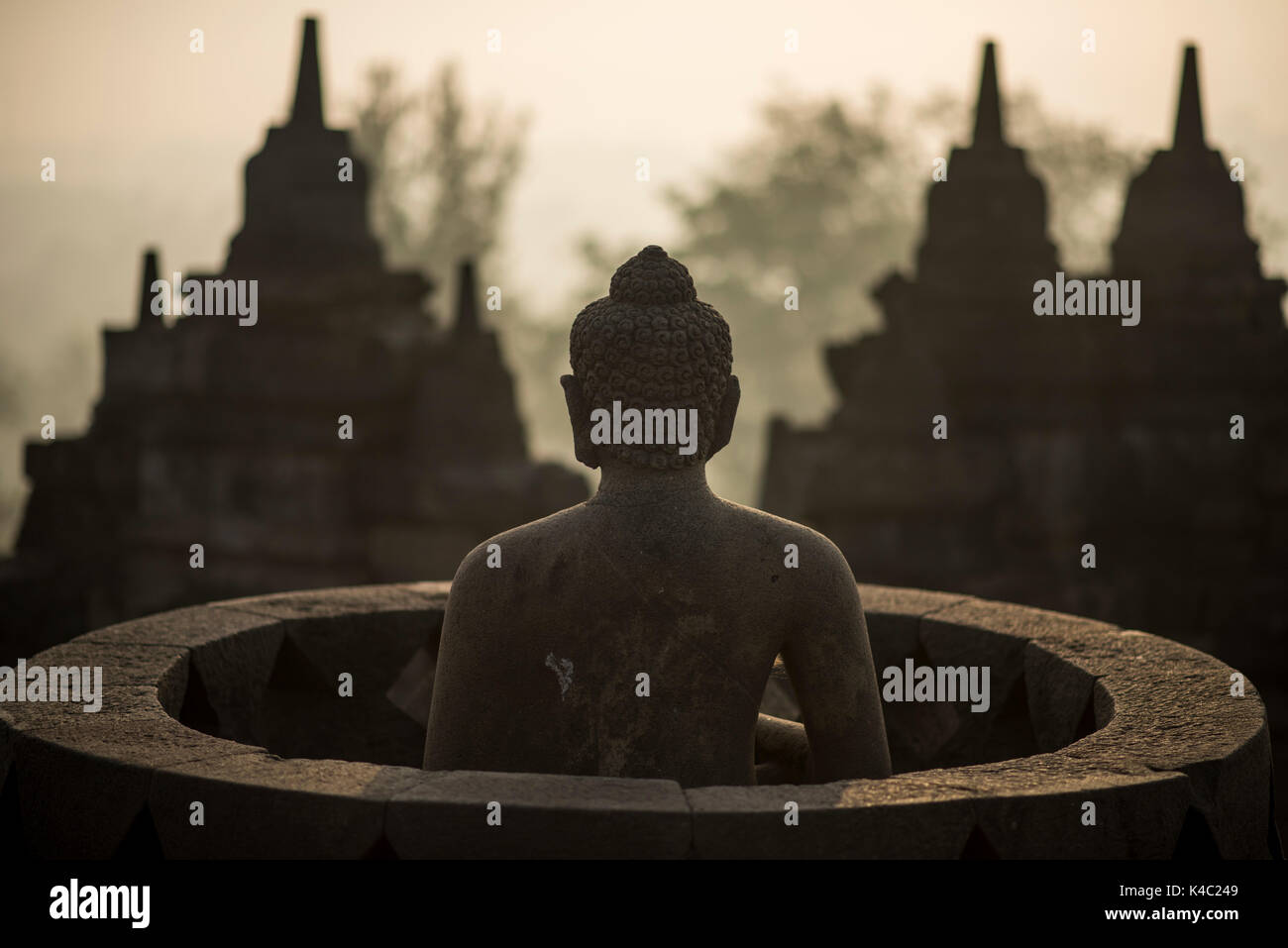 Statua del Buddha presso il tempio borobudor in java, Indonesia. Foto Stock