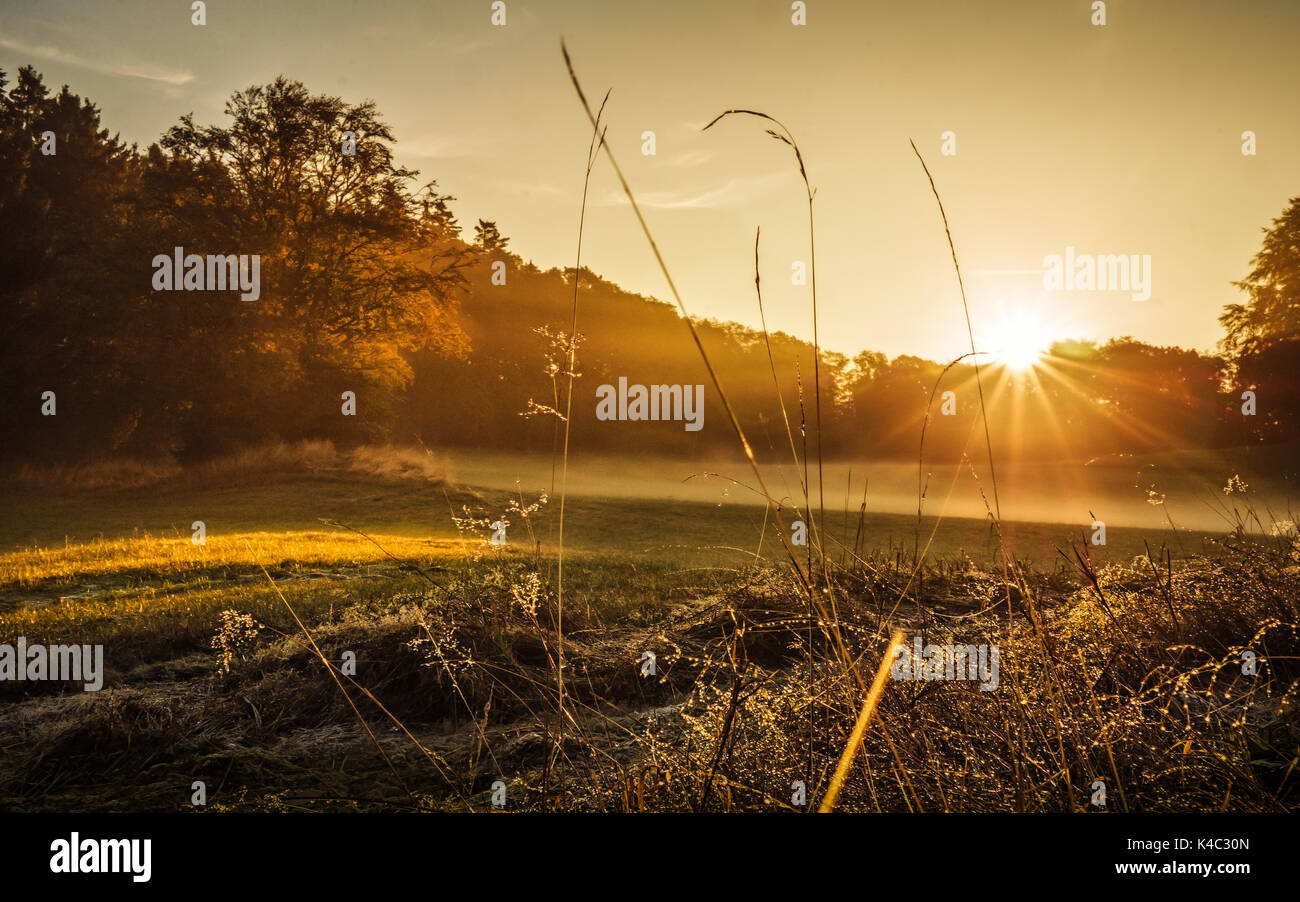 Sunrise in autunno Foto Stock