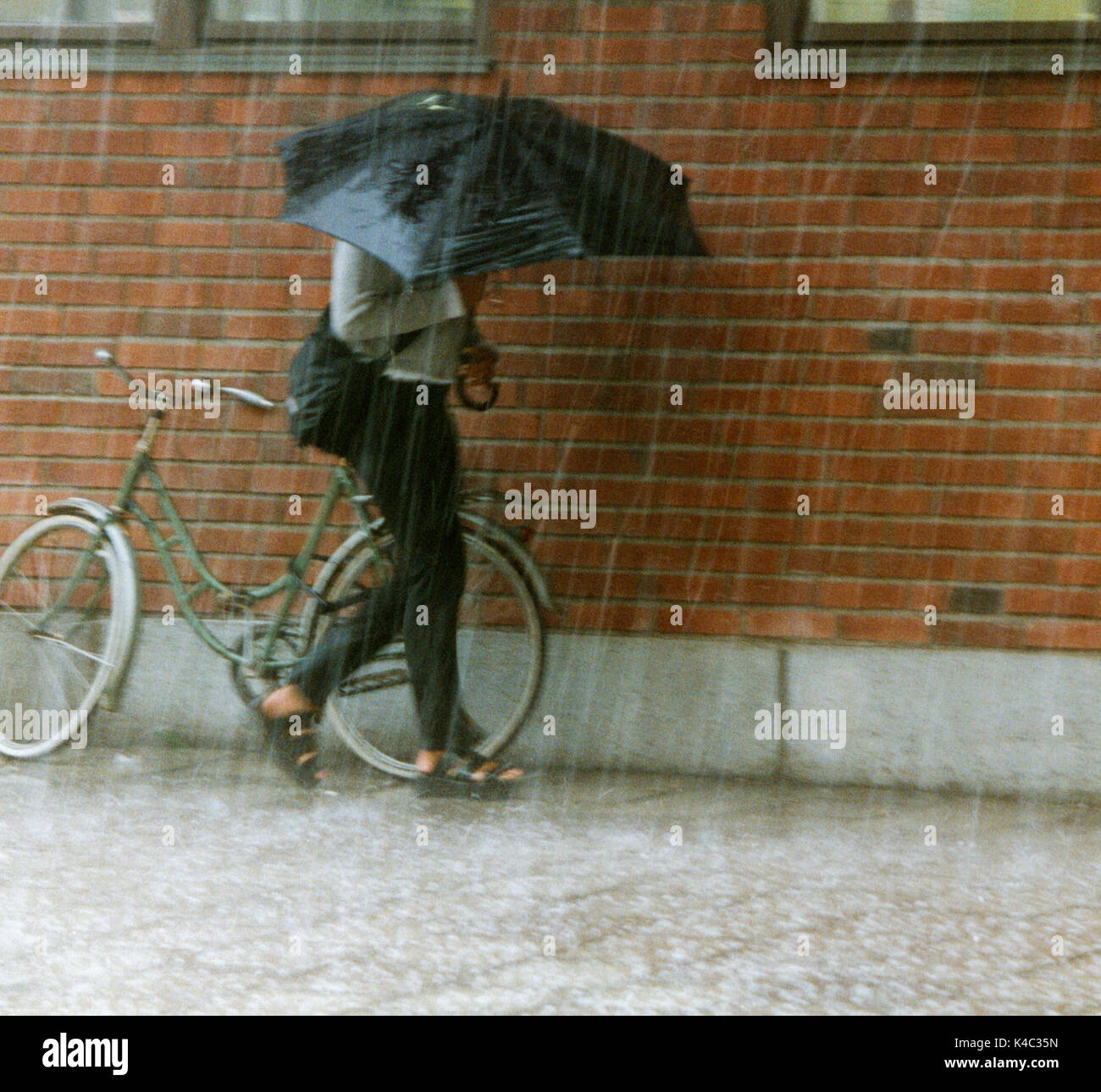 Le donne sotto umbrellaat pioggia di estate 2011 Foto Stock