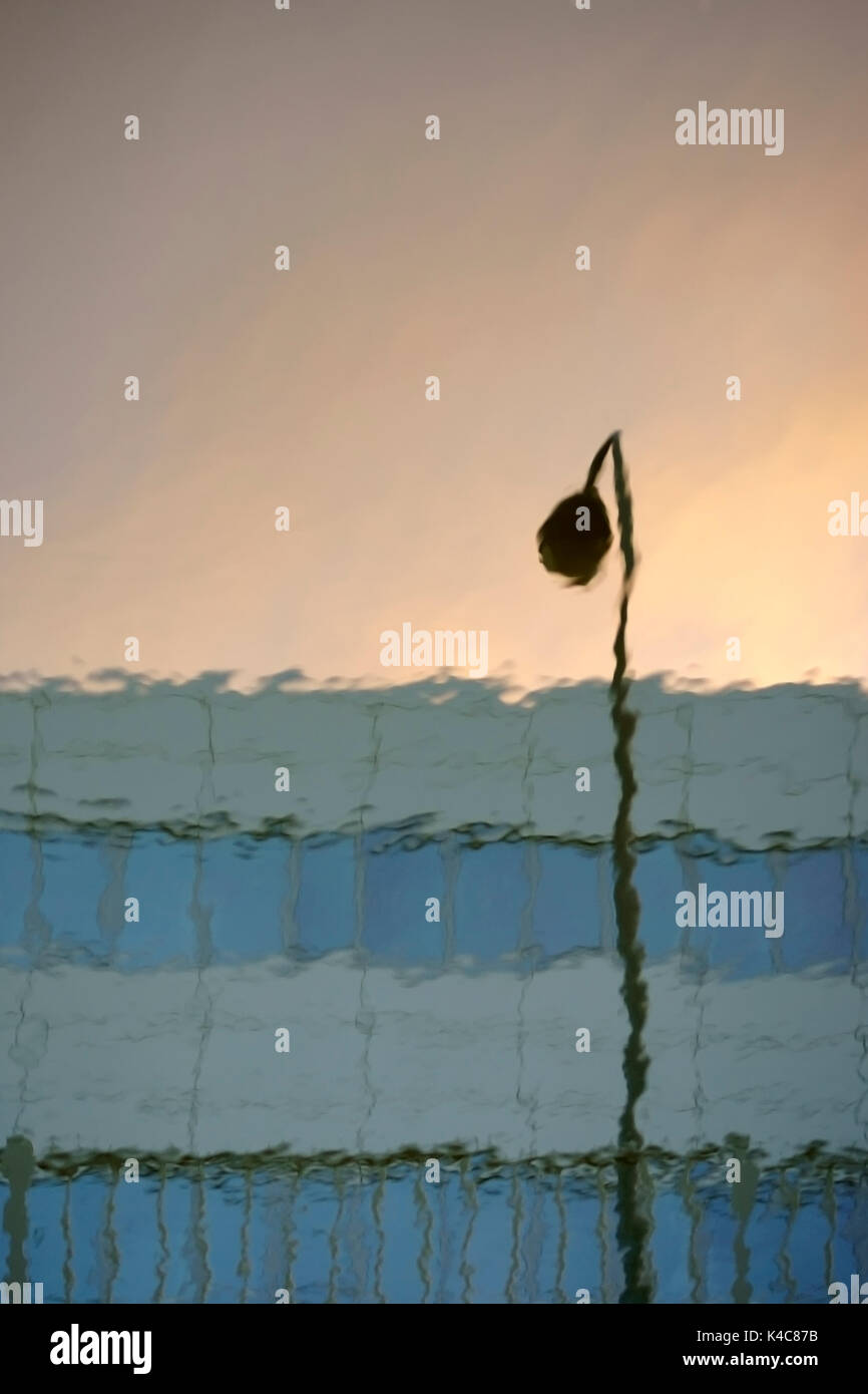 Riflessioni in acqua Foto Stock