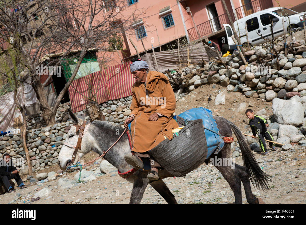 Berber l uomo a cavallo di un asino a setti fatma souk, Ourika Valley, atlante, Marocco Foto Stock