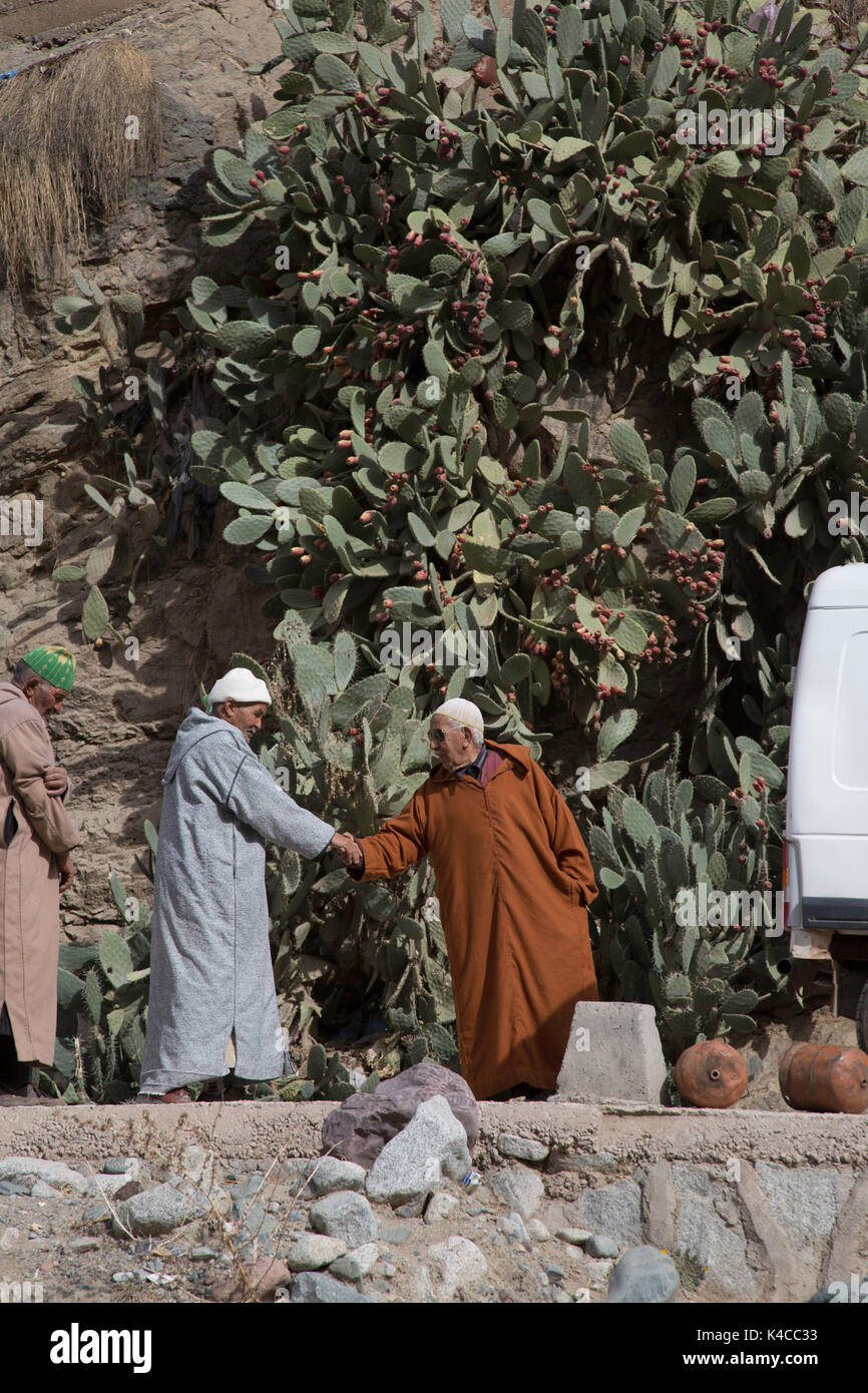 Berber uomini saluto ogni altra al souk, setti fatma mercato, Ourika Valley, atlante, Marocco Foto Stock