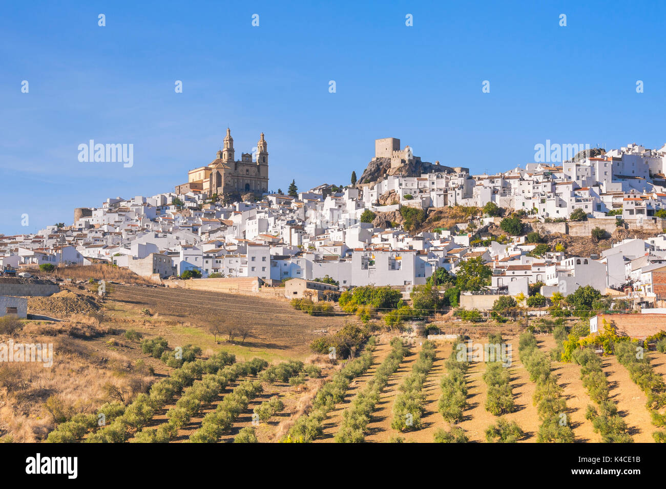 Olvera su una collina con gli ulivi, Città bianche dell'Andalusia, Provincia di Cêdiz, Spagna Foto Stock