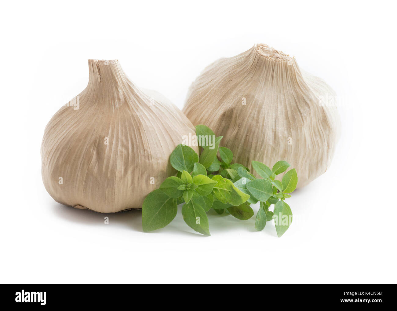 Tutta la lampadina di casa nero fermentato aglio ultima meraviglia cibo ,ricco di antiossidanti, vitamine e minerali. Isolato su sfondo bianco con il verde Foto Stock