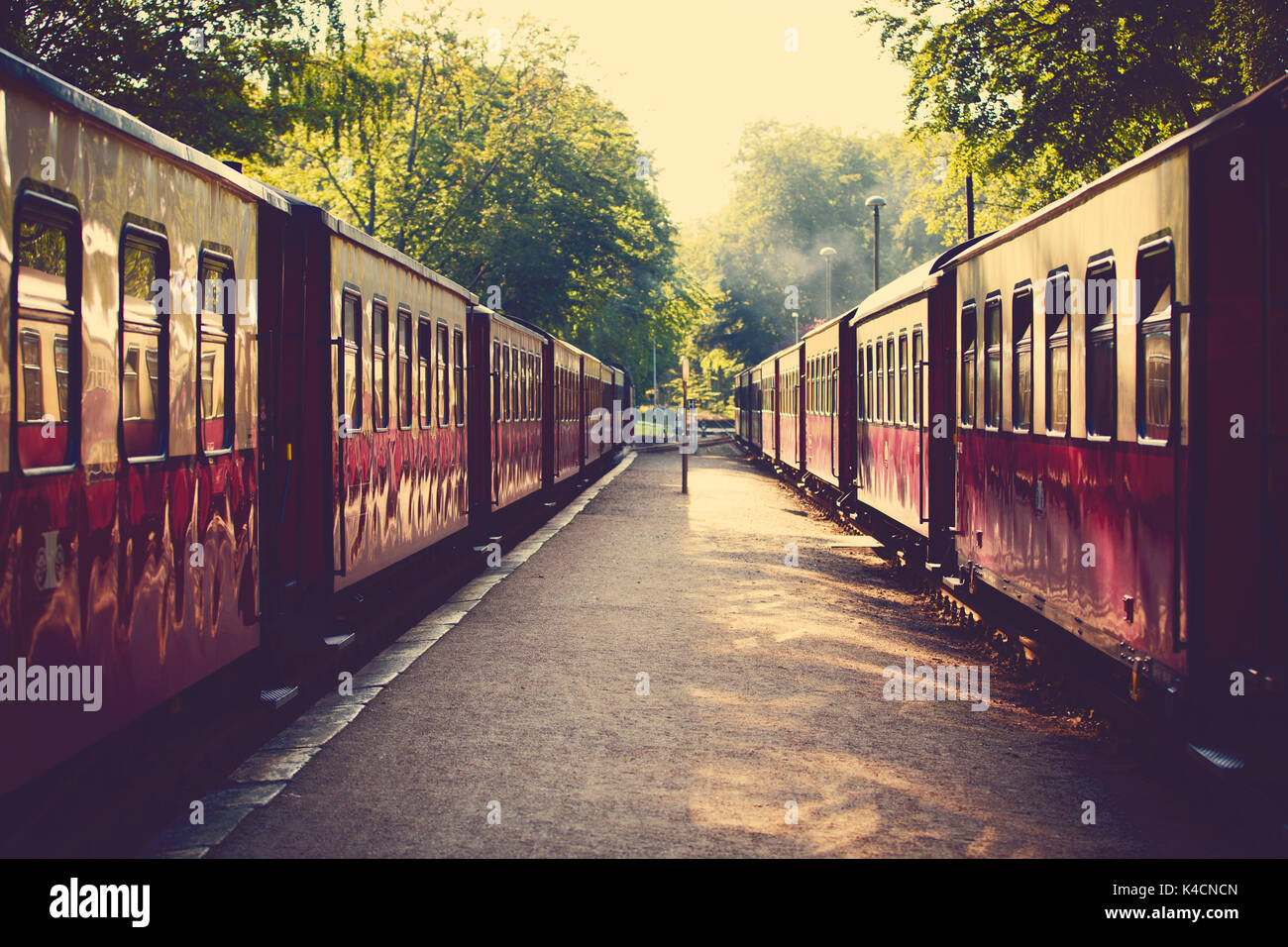 Piattaforma con treni storici, carri Foto Stock